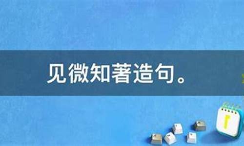 见微知著造句30字简单_见微知著造句30字简单一点